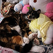 Kitty is registered to the contest to win money with this photo: cat, tortoiseshell_cat, plush_toy, hello_kitty, bed, blanket, paws, fur, indoor, resting, floral_pattern, stuffed_animal, soft_toys, cute, cozy, relaxed, yellow_dress, animal, pet, feline