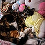 cat, tortoiseshell_cat, plush_toy, hello_kitty, bed, blanket, paws, fur, indoor, resting, floral_pattern, stuffed_animal, soft_toys, cute, cozy, relaxed, yellow_dress, animal, pet, feline
