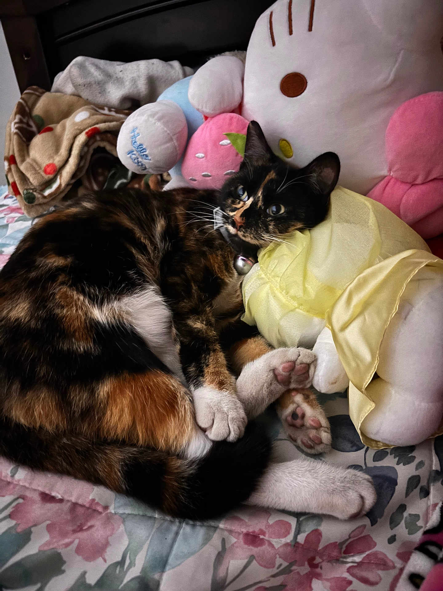 Kitty is registered to the contest to win money with this photo: cat, tortoiseshell_cat, plush_toy, hello_kitty, bed, blanket, paws, fur, indoor, resting, floral_pattern, stuffed_animal, soft_toys, cute, cozy, relaxed, yellow_dress, animal, pet, feline