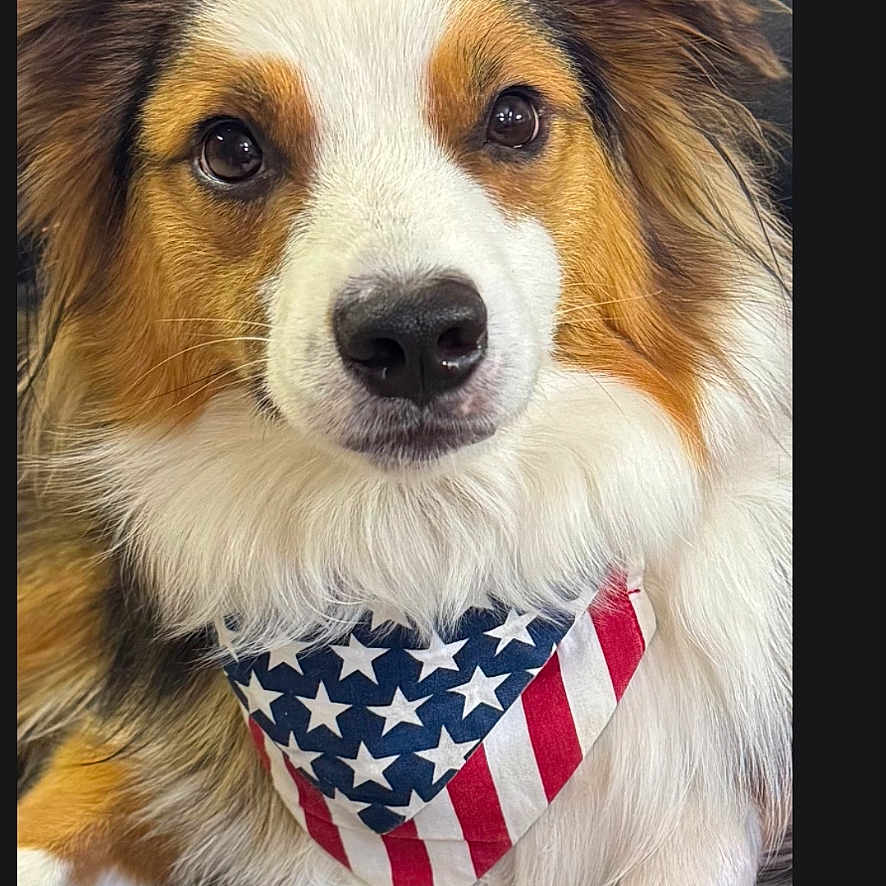 Meko