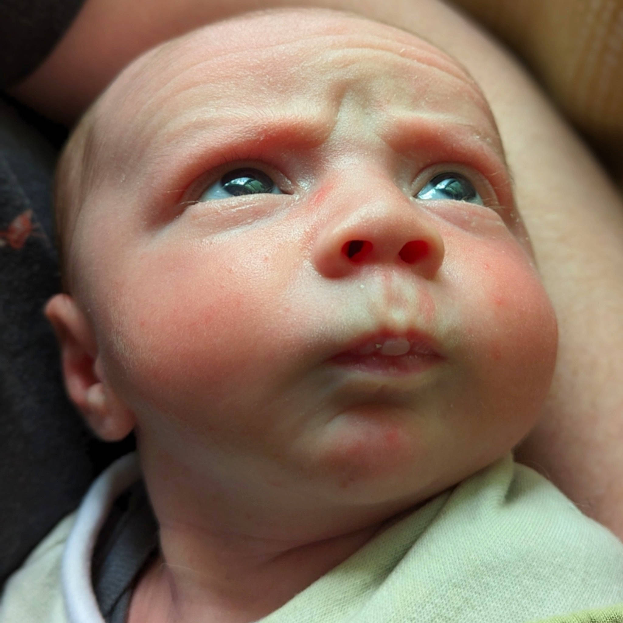 Jake is registered to the contest to win money with this photo: baby, cheek, child, close_up, ear, eye, eyebrow, eyelash, face, flesh, forehead, happy, iris, jaw, lip, mouth, nose, person, skin, toddler