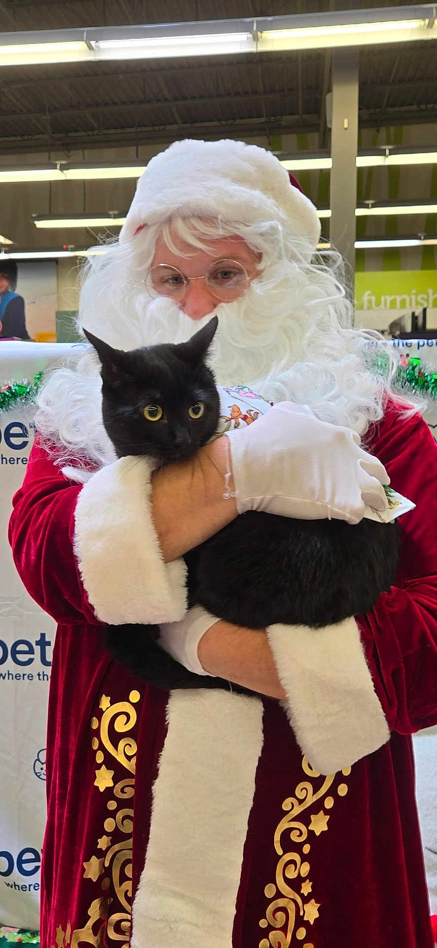 Babi is registered to the contest to win money with this photo: santa_claus, black_cat, costume, glasses, white_beard, white_gloves, red_clothing, indoor, holiday, christmas, decorations, person, animal, pet, holding, fur, festive, portrait, cute, wide_eyes