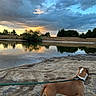 dog, brown_dog, white_markings, lakeside, lake, water, reflection, sunset, clouds, dramatic_sky, trees, shoreline, sandy_ground, outdoors, nature, landscape, leash, harness, standing, evening