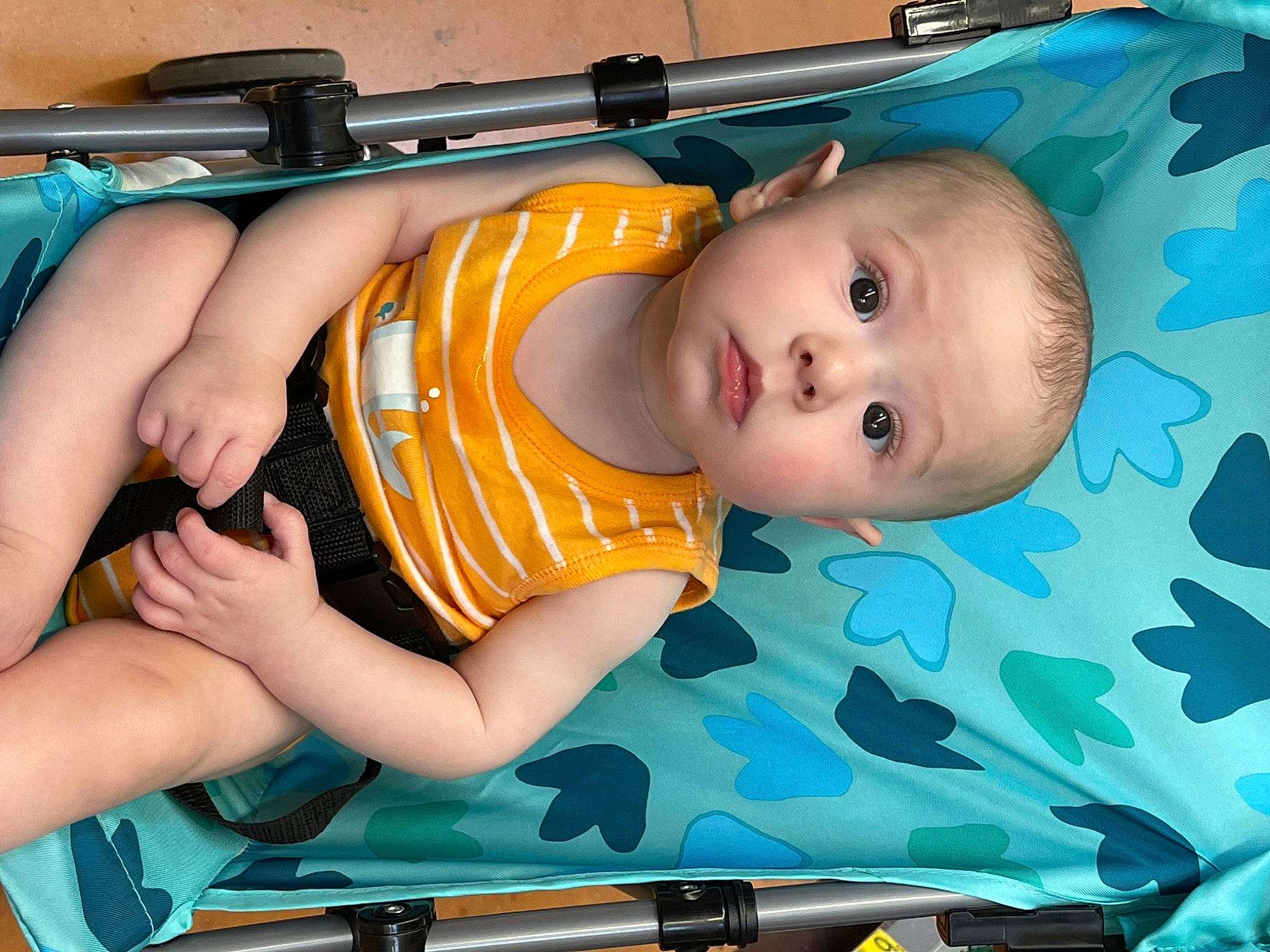 Sasha is registered to the contest to win money with this photo: automotive_exterior, baby, baby_carriage, baby_products, baby_safety, baby_toddler_clothing, child, comfort, electric_blue, human_leg, person, product, sitting, skin, smile, thigh, tire, toddler, vehicle, vehicle_door