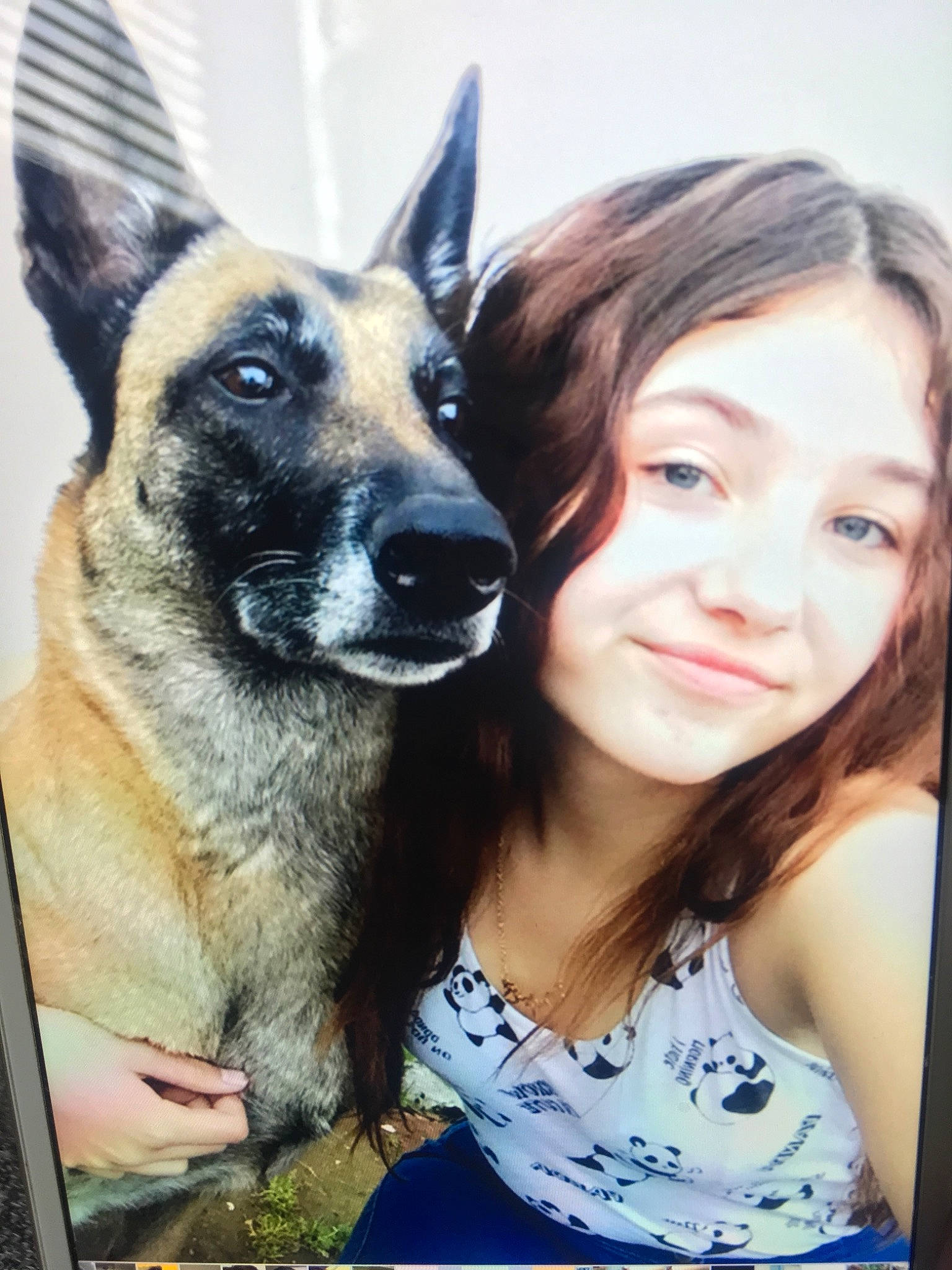 Idem participe au concours pour gagner de l'argent avec cette photo : belgian_shepherd, belgian_shepherd_malinois, canidae, carnivore, dog, dog_breed, east_european_shepherd, fawn, german_shepherd_dog, joy, king_shepherd, kunming_wolfdog, mammal, person, photography, police_dog, selfie, snout, vertebrate