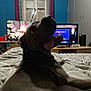 Volt participe au concours pour gagner de l'argent avec cette photo : dog, bed, indoor, television, screen, furniture, curtains, blanket, tongue, pet, animal, living_room, cabinet, electronics, relaxing, canine, home, blur, dark, cozy