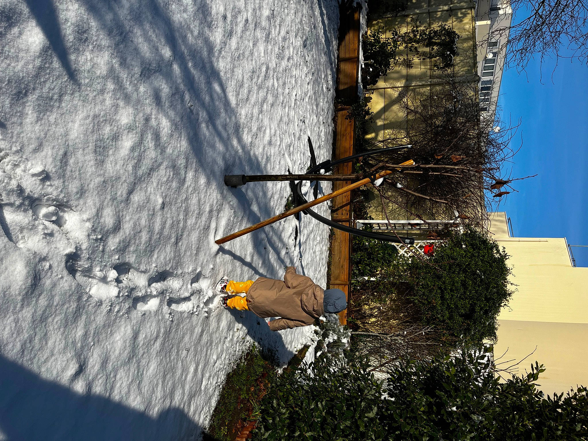 Spencer participe au concours pour gagner de l'argent avec cette photo : asphalt, building, city, electrical_supply, electricity, facade, house, landscape, overhead_power_line, plant, public_utility, road_surface, sky, slope, street_light, tree, trunk, twig, urban_design, wood