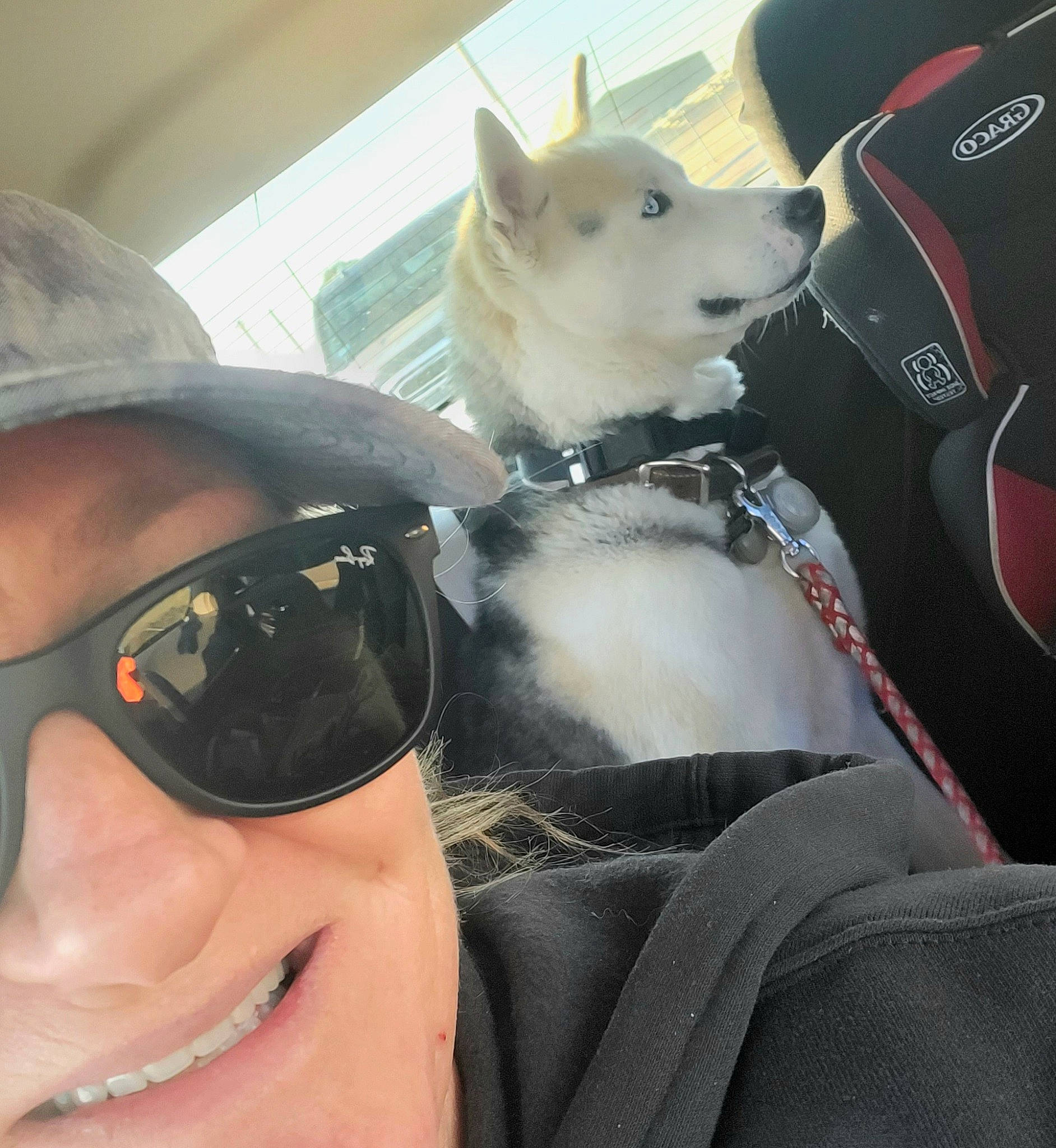 Wylie Kane joined the competition — help win amazing prizes! carnivore, companion_dog, cool, dog, dog_breed, eyewear, fawn, fun, glasses, goggles, happy, human_body, mouth, neck, personal_protective_equipment, selfie, smile, snout, sunglasses, vision_care
