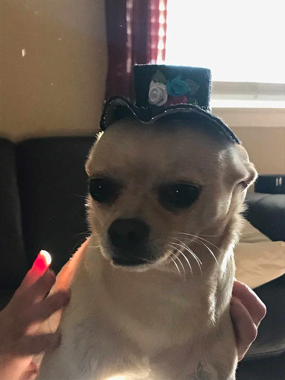 Chester