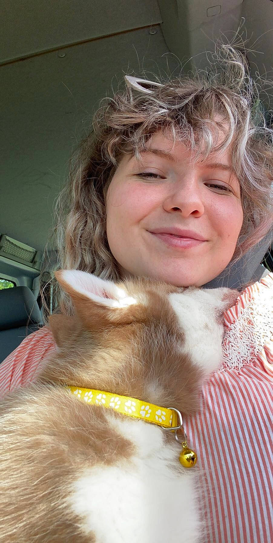 Rouky a rejoint le concours — aidez-le/la à gagner de superbes lots ! blond, carnivore, collar, companion_dog, eye, eyebrow, fawn, felidae, fur, fur_clothing, hair, happy, human_body, iris, nose, skin, small_to_medium_sized_cats, smile, whiskers, working_animal