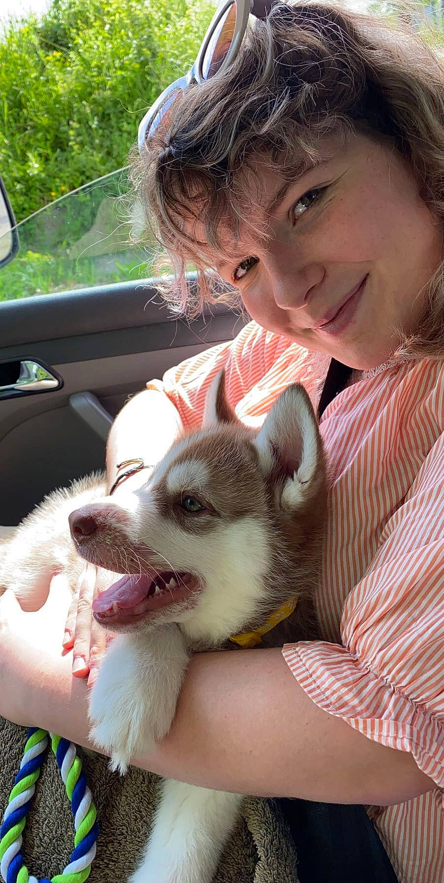 Rouky participe au concours pour gagner de l'argent avec cette photo : carnivore, companion_dog, dog, dog_breed, ear, fawn, finger, fun, grass, hand, happy, mouth, nose, plant, skin, smile, snout, summer, tree, whiskers