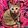 Miss Kitty