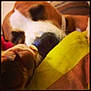 Abaca participe au concours pour gagner de l'argent avec cette photo :