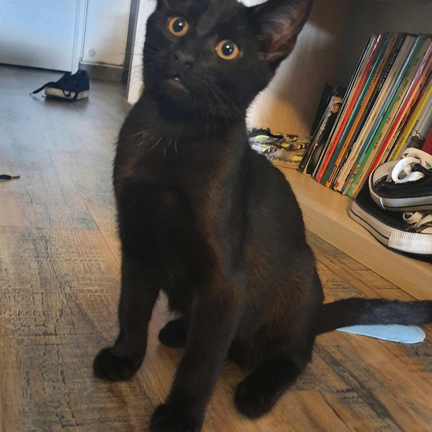 Kuro