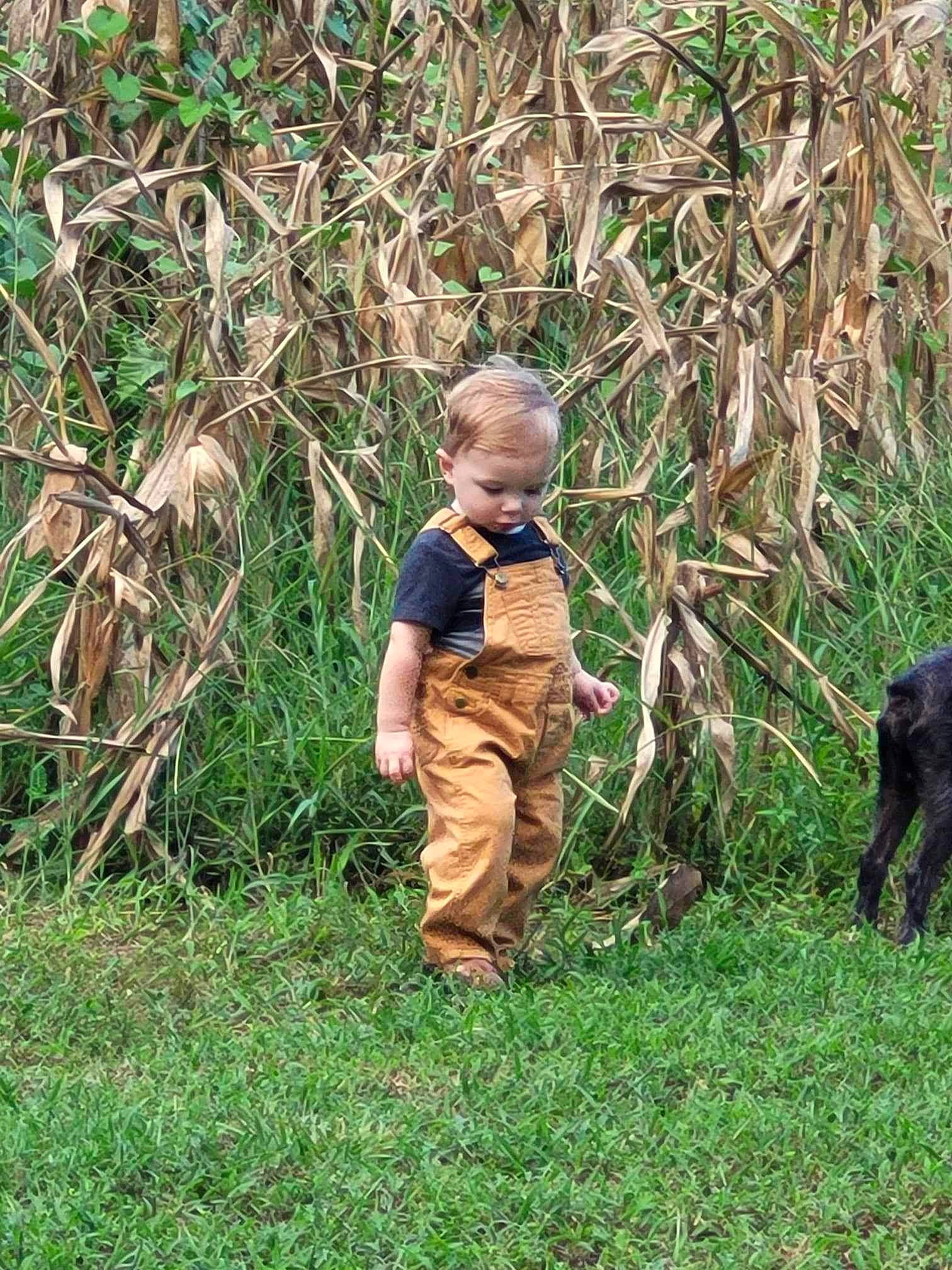 Calvin is registered to the contest to win money with this photo: adaptation, baby, baby_toddler_clothing, child, grass, grass_family, grassland, groundcover, mammal, pasture, people_in_nature, person, plant, soil, terrestrial_animal, terrestrial_plant, toddler, tree