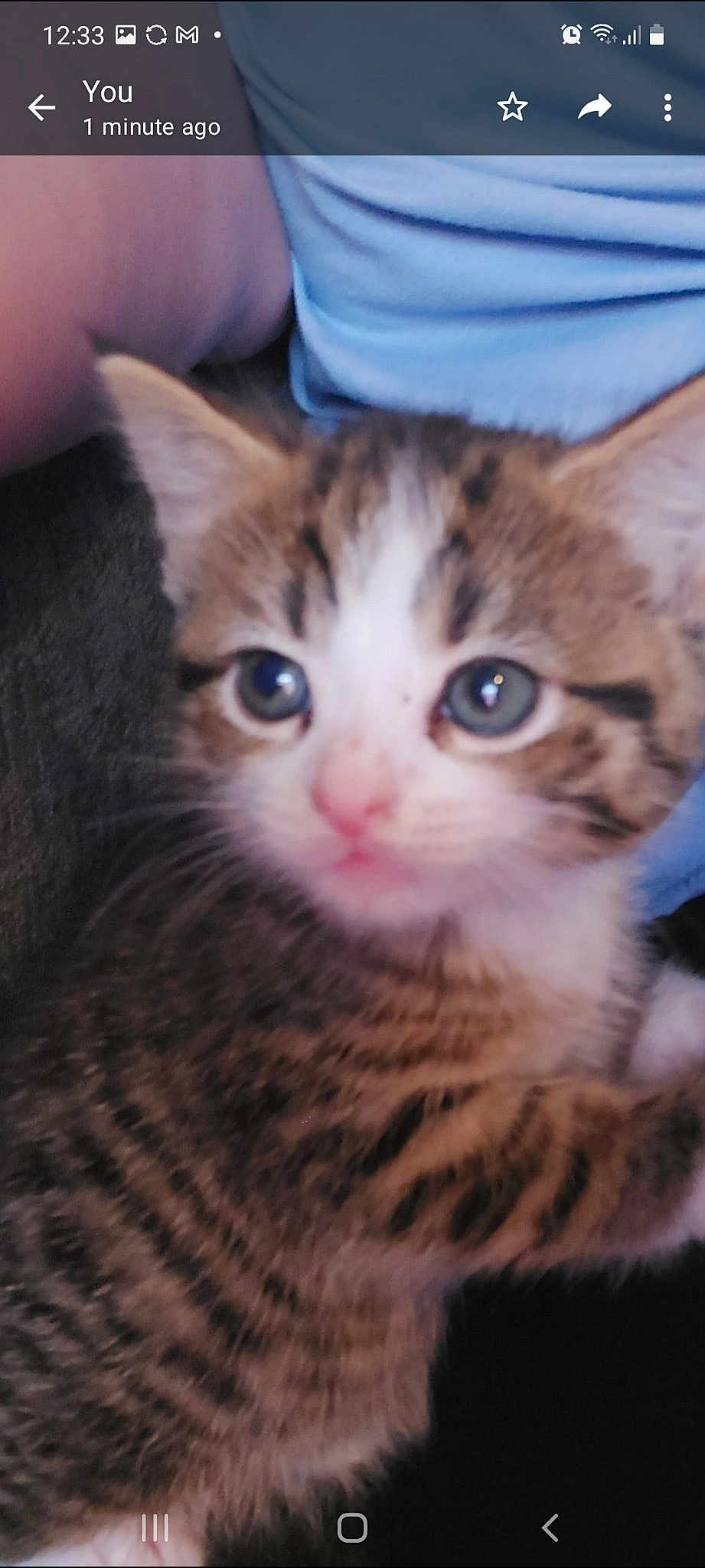Cutie
