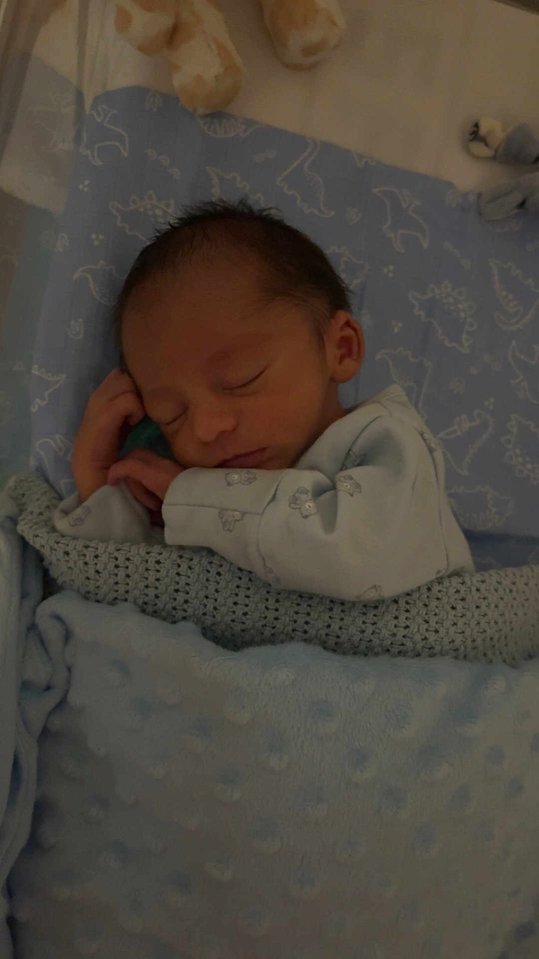 Noah is registered to the contest to win money with this photo: newborn, baby, sleeping, blanket, blue, dinosaur_pattern, infant, soft, bed, cute, peaceful, child, resting, pajamas, indoors, portrait, cozy, head, person, toddler