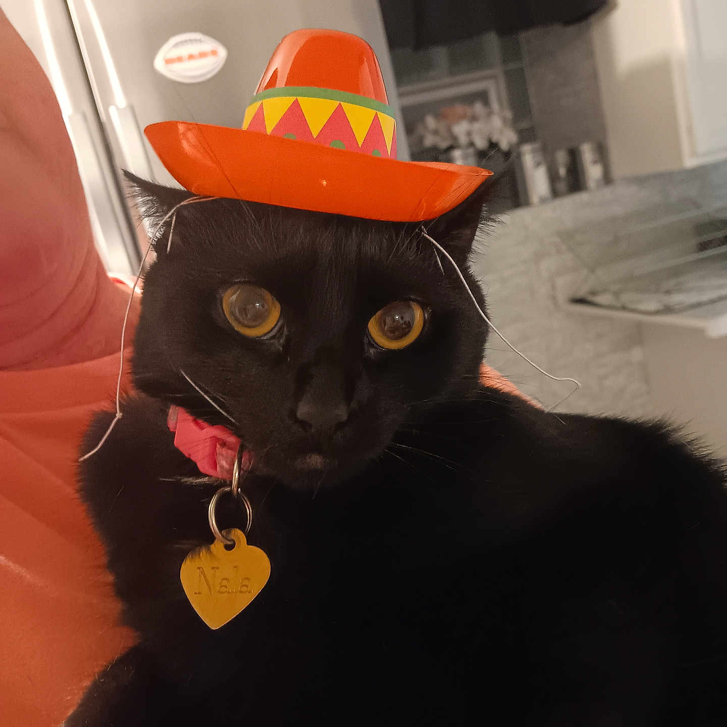Nala