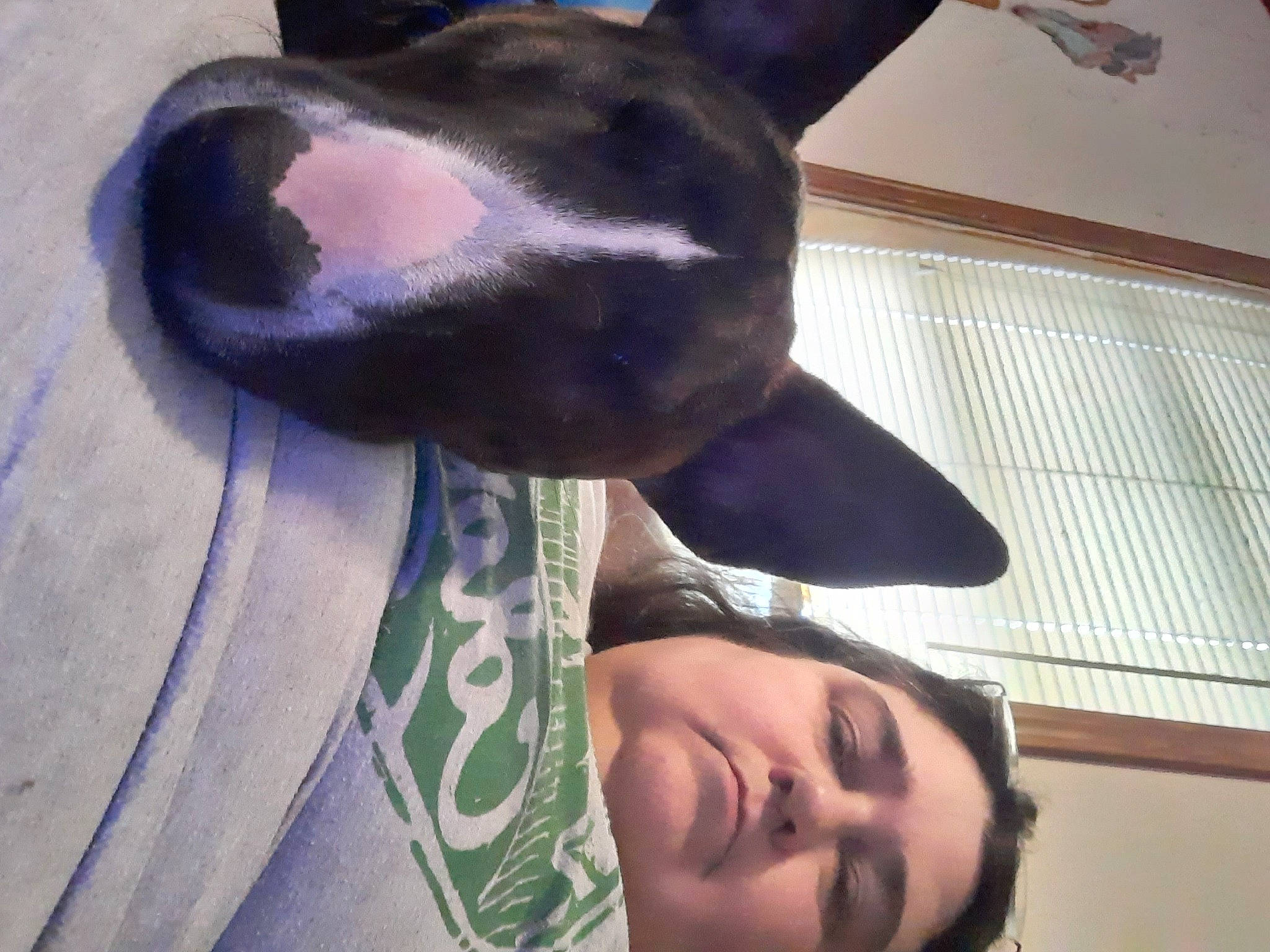 Simba joined the competition — help win amazing prizes! carnivore, comfort, companion_dog, cool, dog_breed, ear, eyewear, fawn, finger, fur, gesture, happy, jaw, musical_instrument, neck, nose, selfie, snout, sunglasses, whiskers