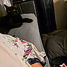 black_cat, cat, bed, indoor, yellow_eyes, furniture, blanket, curious, resting, fabric, floral_pattern, dim_light, cozy, pet, animal, domestic, relaxing, soft_texture, home, night