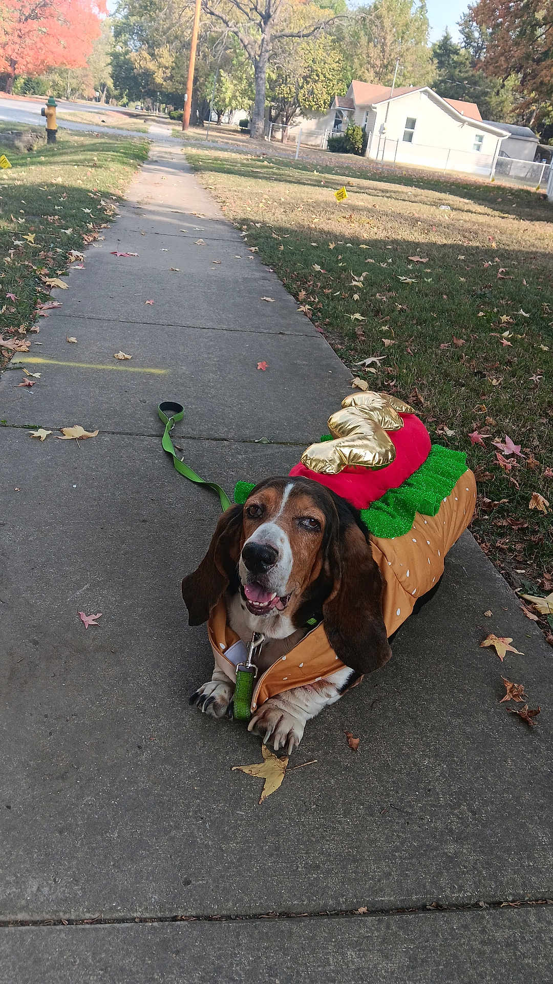 Rufus