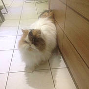 Khina a rejoint le concours — aidez-le/la à gagner de superbes lots !