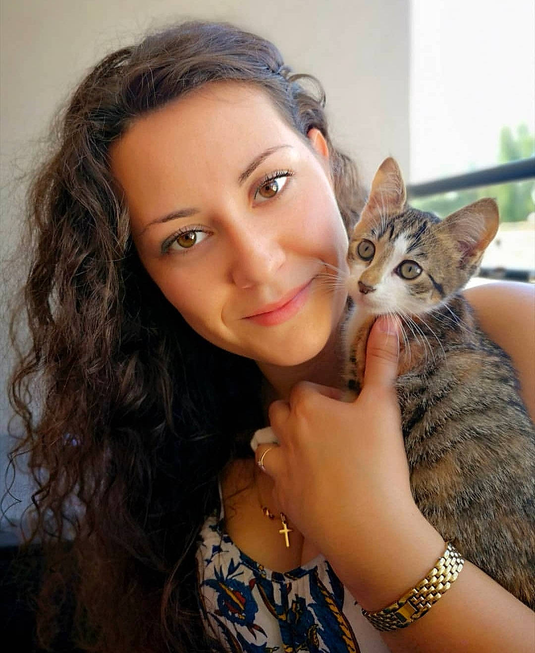 Alby a rejoint le concours — aidez-le/la à gagner de superbes lots ! asian, beauty, brown_hair, carnivore, cat, chausie, domestic_short_haired_cat, ear, european_shorthair, eyebrow, face, felidae, forehead, gesture, hair, lip, nose, photography, small_to_medium_sized_cats, whiskers