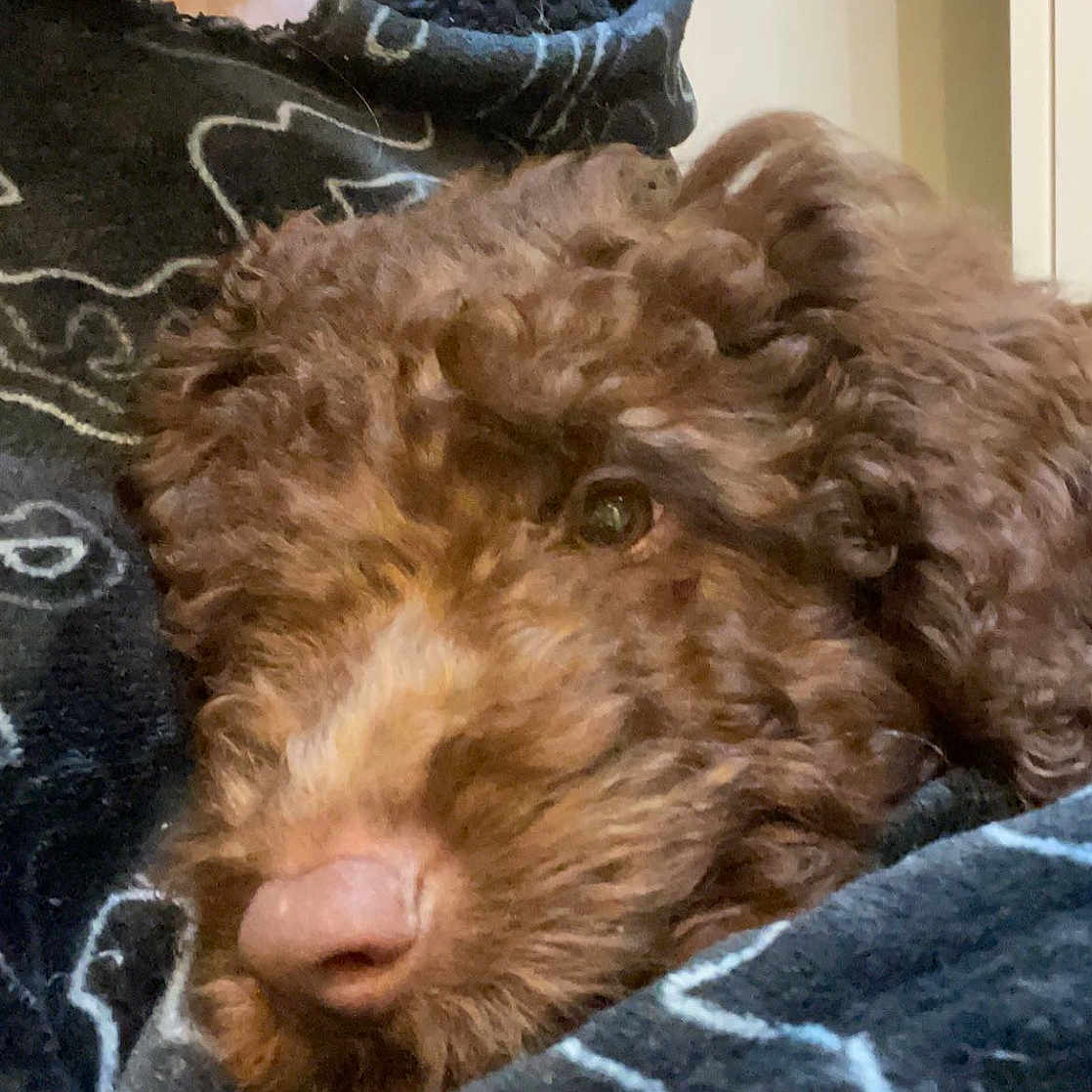 Ralph