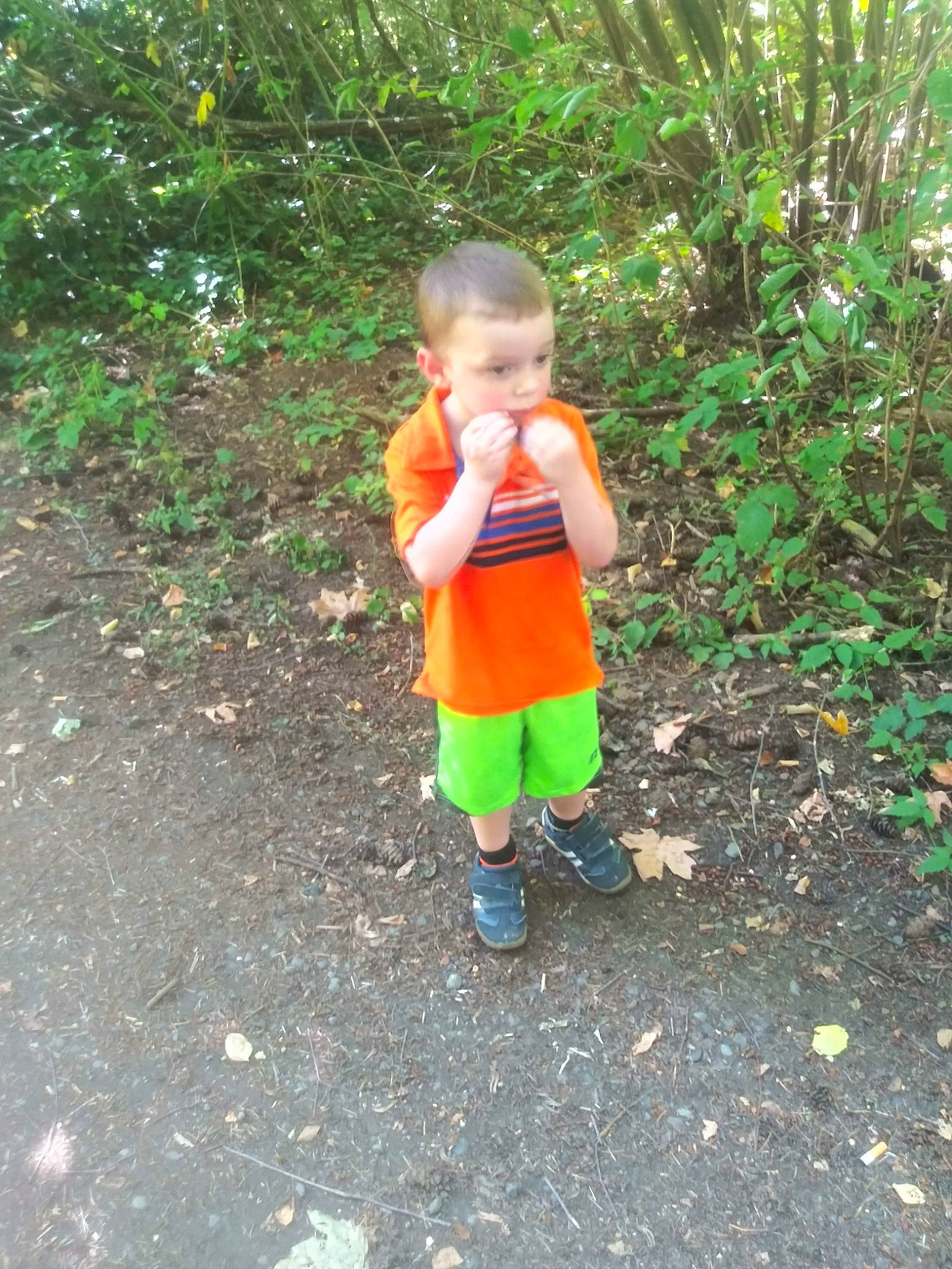 Jakob joined the competition — help win amazing prizes! child, jungle, person, play, toddler, vacation