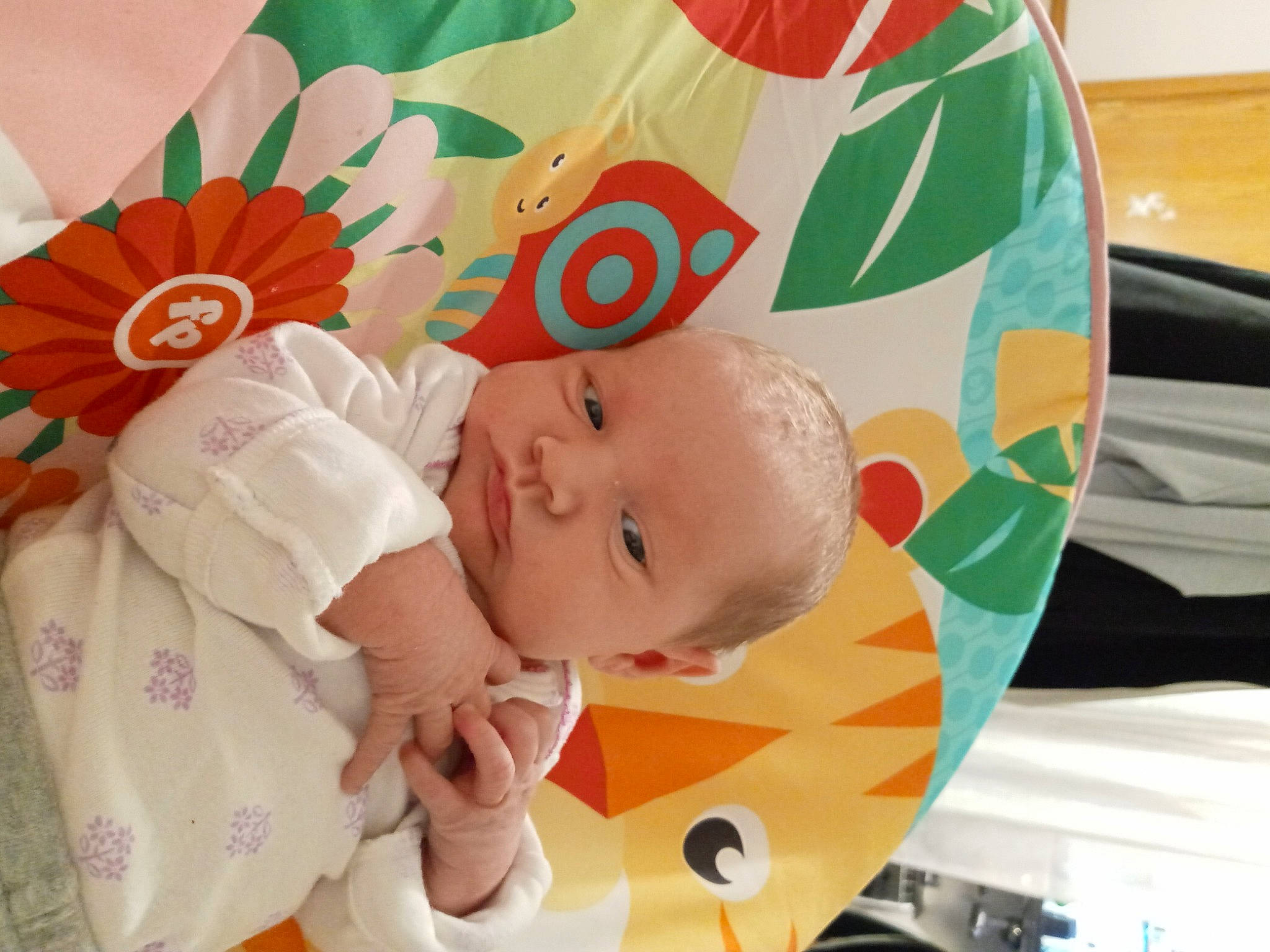 Alyssya joined the competition — help win amazing prizes! baby, child, person, plant, product, toddler