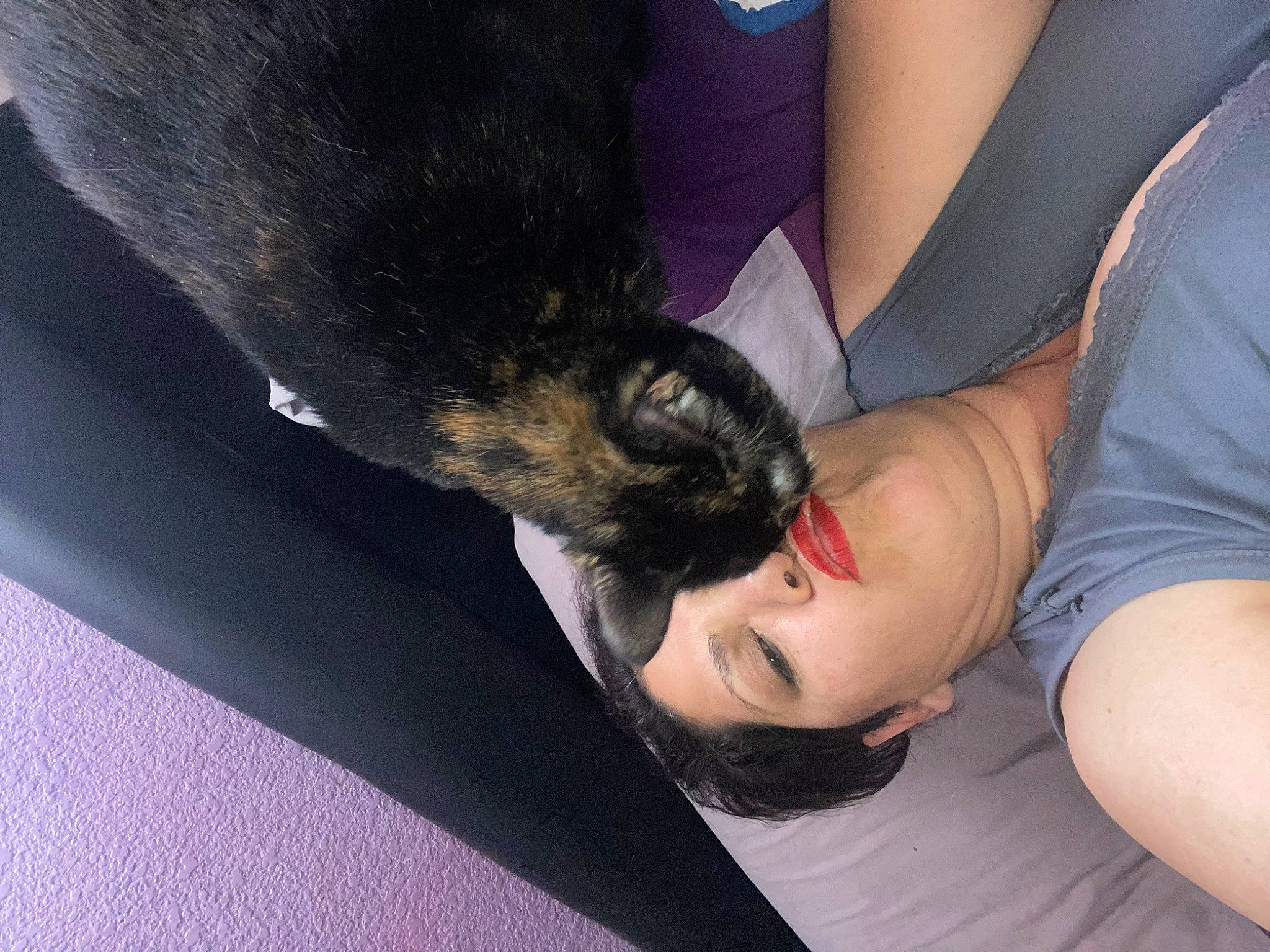 Mistouf a rejoint le concours — aidez-le/la à gagner de superbes lots ! canidae, carnivore, comfort, companion_dog, dog_breed, elbow, eyelash, fawn, felidae, fur, gesture, hand, human_leg, nail, small_to_medium_sized_cats, snout, sporting_group, thigh, whiskers, wrist