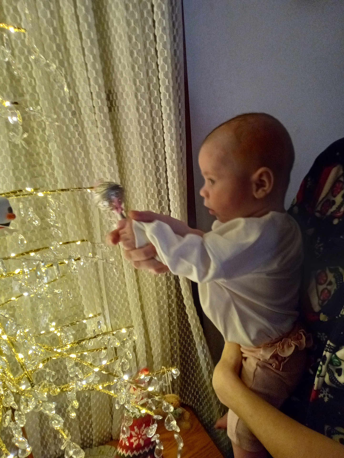 Isabelle is registered to the contest to win money with this photo: baby, child, hand, person, curtains, decorative_tree, lights, indoor, clothing, table, toy, face, profile, wall, fabric, home, adult_hand, ornament, curiosity, soft_lighting