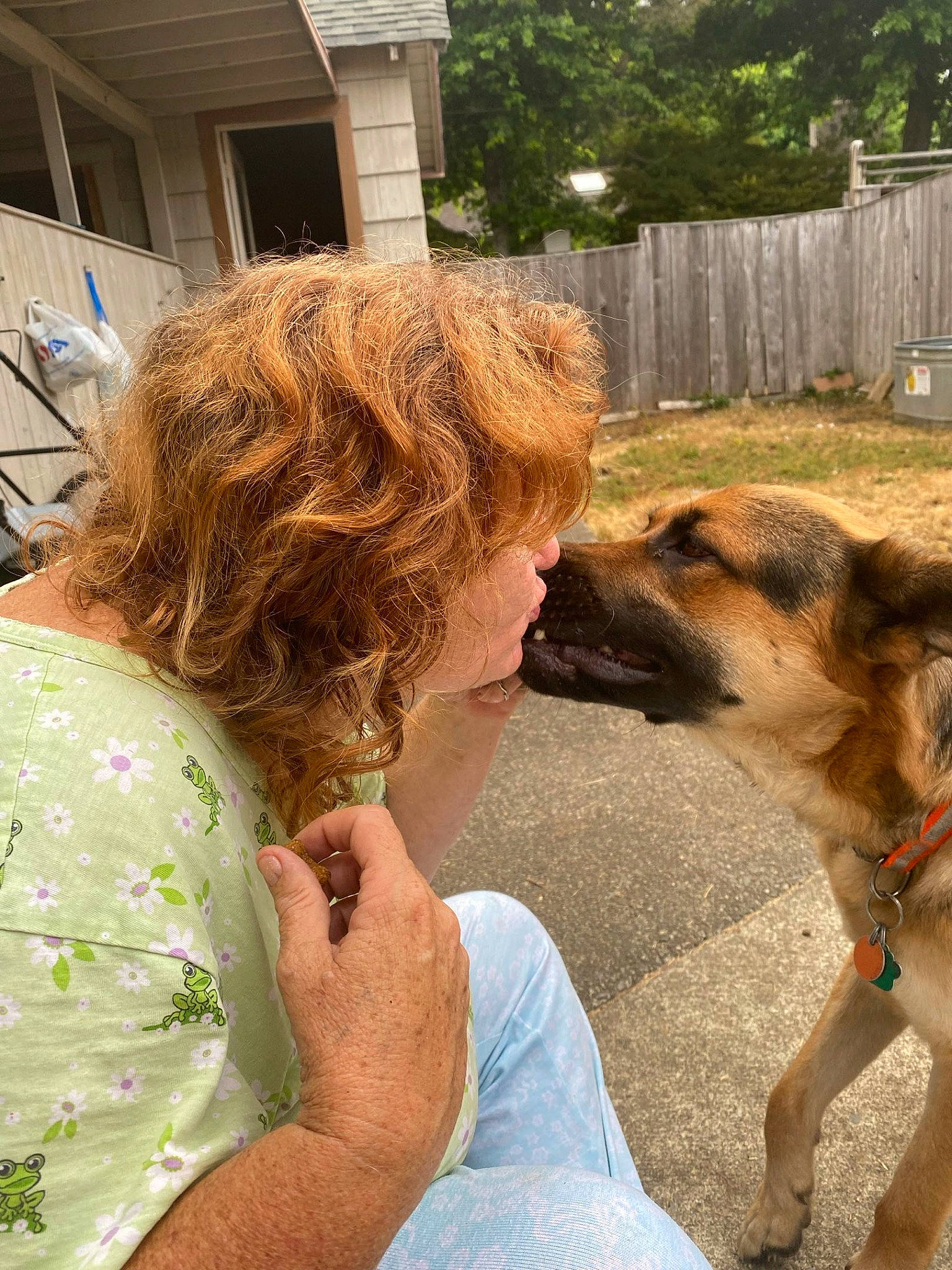 Blake joined the competition — help win amazing prizes! carnivore, companion_dog, dog, dog_breed, eyewear, fence, fun, grass, happy, interaction, leash, leisure, plant, sitting, street_dog, sunglasses, surfer_hair, tree, vacation, working_dog