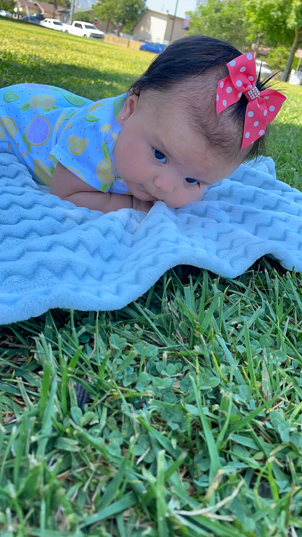 Evelyn Rose is registered to the contest to win money with this photo: baby, baby_toddler_clothing, cap, child, electric_blue, fashion_accessory, fun, garden, grass, grassland, groundcover, headband, lawn, leisure, pattern, people_in_nature, person, plant, sitting, toddler