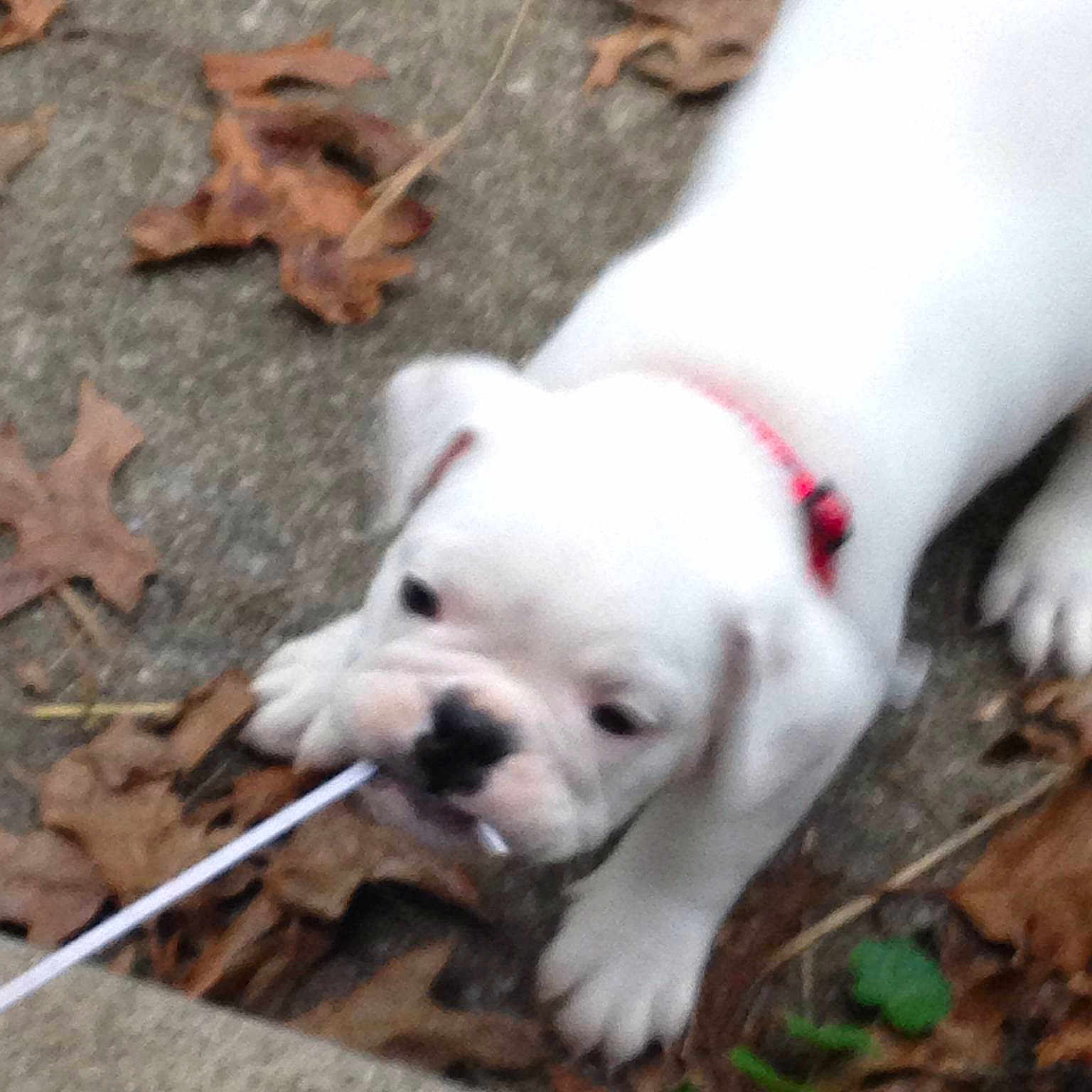Coby is registered to the contest to win money with this photo:
