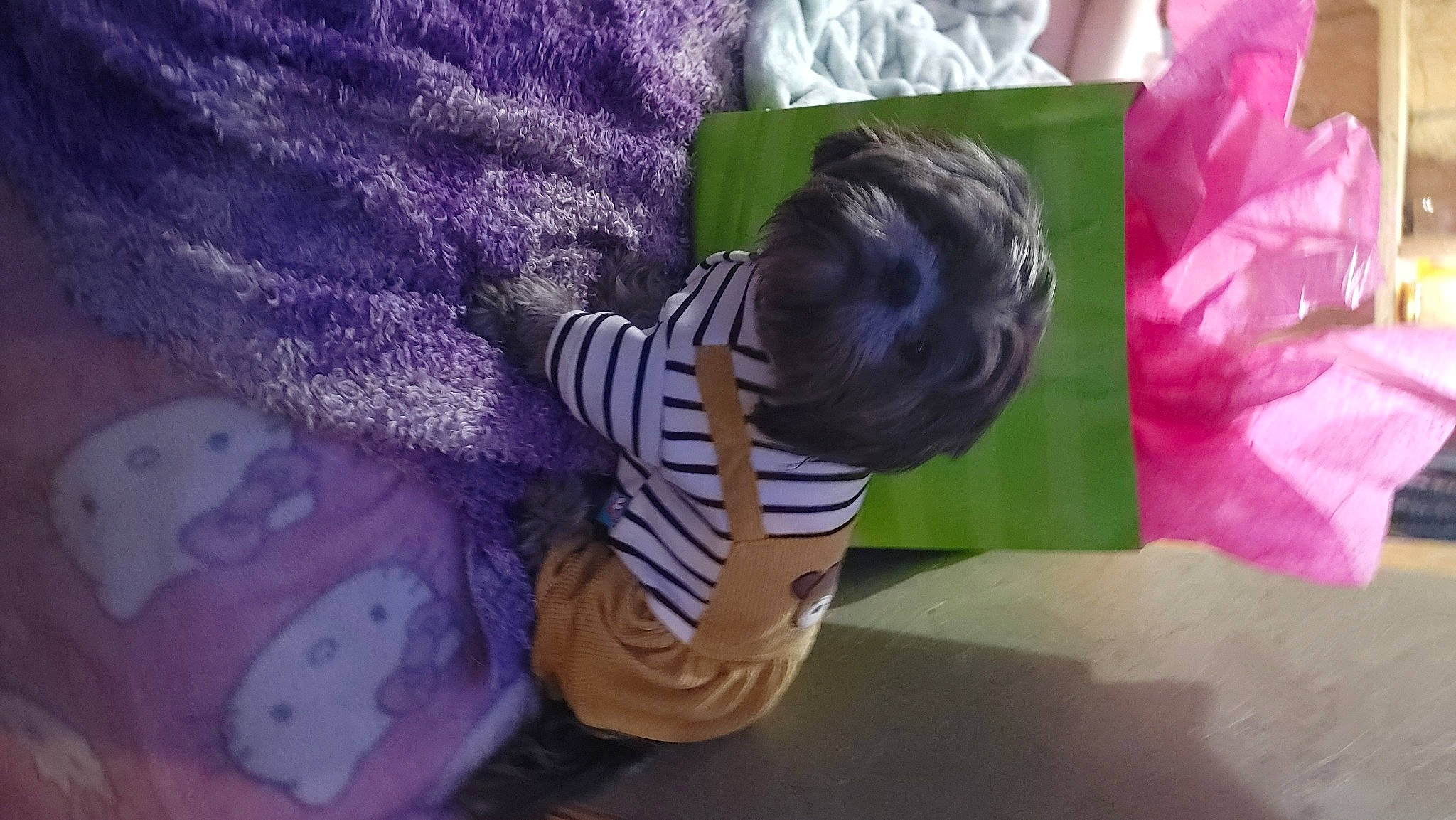 Smokee The Bandit is registered to the contest to win money with this photo: baby, baby_toddler_clothing, bedding, child, flower, hat, linens, magenta, pattern, petal, pink, plant, play, purple, room, t_shirt, toddler, tree, violet, visual_arts