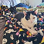 cat, black_cat, white_cat, bed, blanket, ghost_pattern, pillow, indoor, cozy, feline, resting, domestic, bedroom, hat, wall_decor, animal, pet, relaxed, two_animals, soft_fabric