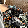 cat, kitten, black_and_white, blanket, plush_toy, couch, indoor, pet, cozy, fur, animal, resting, curious, golden_eyes, soft_texture, patterned, colorful, relaxing, domestic, warm_light