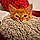 Berlioz