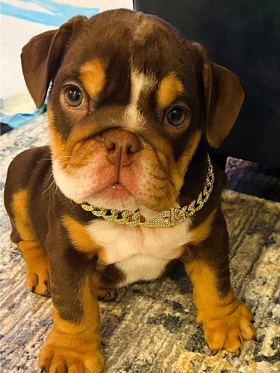 Benzie Joy Trevino