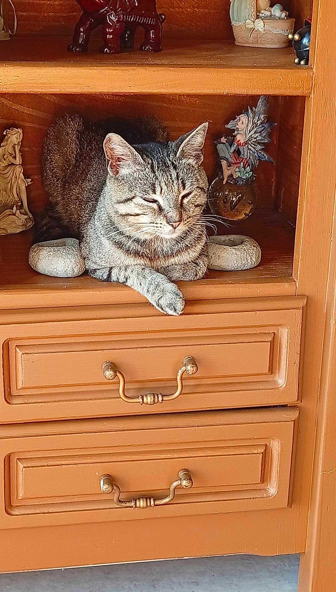 Tigrou participe au concours pour gagner de l'argent avec cette photo : cat, tabby_cat, wooden_cabinet, figurines, decorative, shelf, stone_rings, relaxed, indoor, pet, feline, animal, resting, closeup, brown, home_decor, quiet, peaceful, cute, cozy