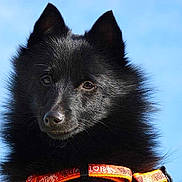 Gomette participe au concours pour gagner de l'argent avec cette photo :
