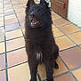 Lorka participe au concours pour gagner de l'argent avec cette photo :