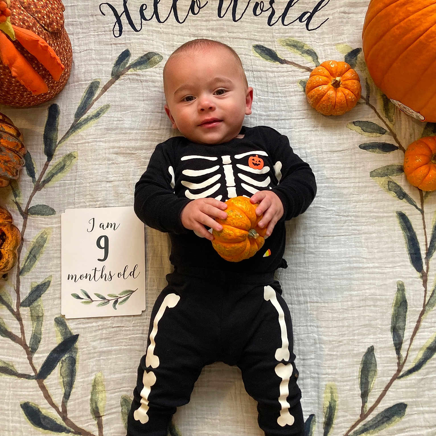 Bender is registered to the contest to win money with this photo: baby, bodypart, clothing, face, finger, food, hand, head, leaf, newborn, pants, person, photography, plant, portrait, produce, pumpkin, sitting, squash, vegetable