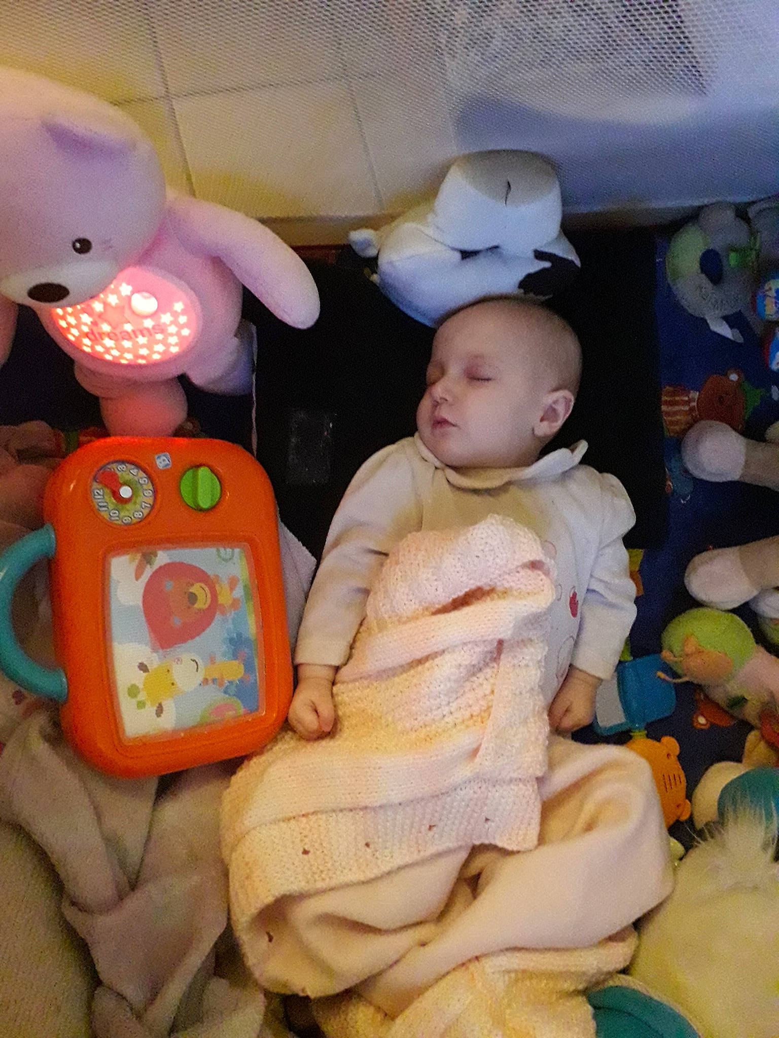 Celya participe au concours pour gagner de l'argent avec cette photo : baby, child, person, toddler, toy