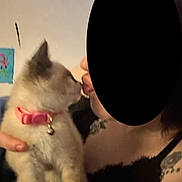 Nila is registered to the contest to win money with this photo: cat, kitten, pet, collar, bell, person, holding, indoor, blurred, closeup, affection, love, cute, animal, feline, black_clothing, tattoo, skin, face_obscured, hand