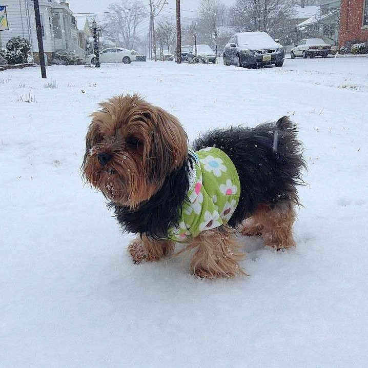 Chiqui joined the competition — help win amazing prizes!