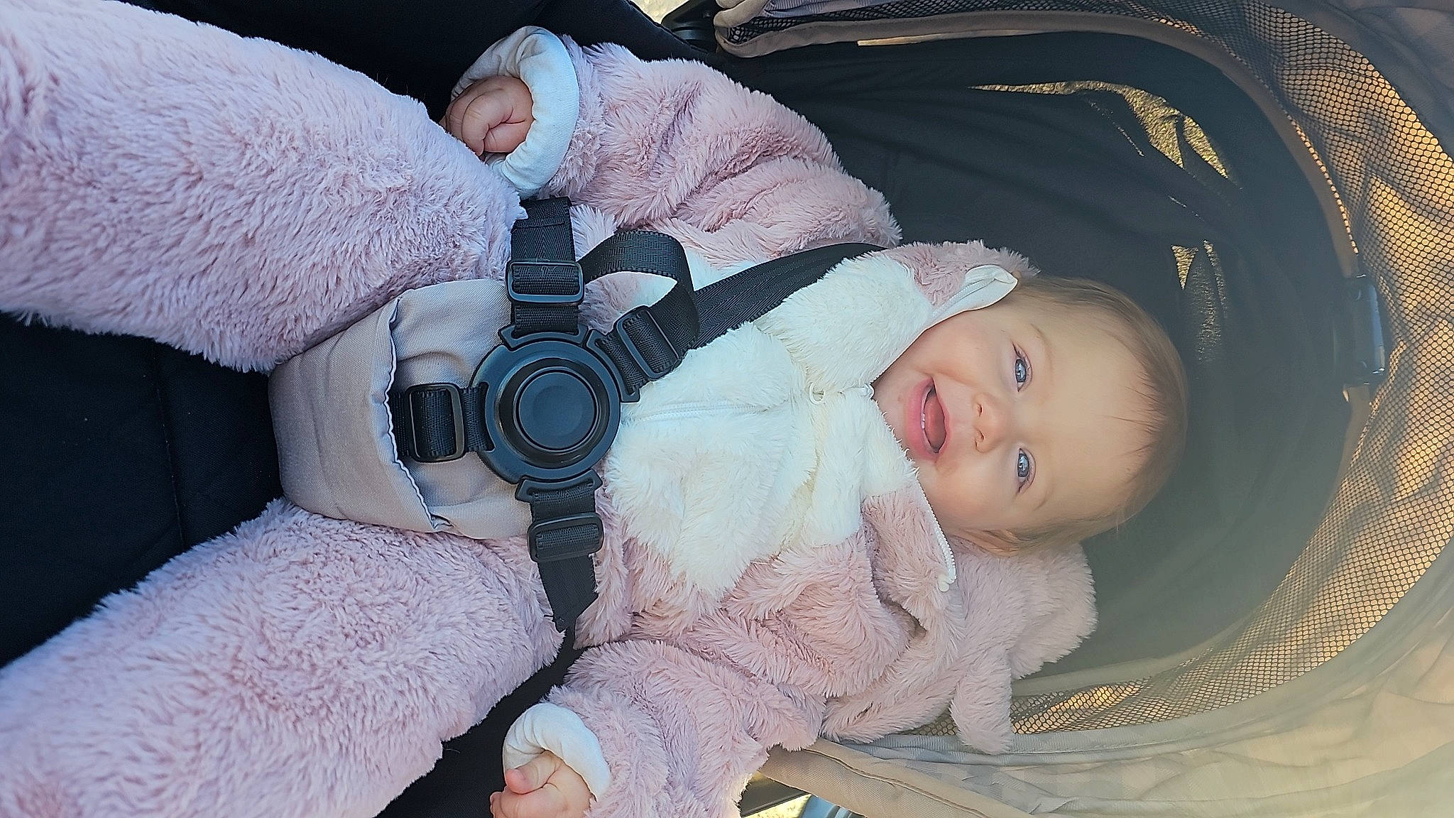 Remy joined the competition — help win amazing prizes! baby, baby_carriage, baby_products, baby_sleeping, baby_toddler_clothing, car_seat, cheek, child, comfort, fur, iris, lap, linens, person, room, sitting, skin, textile, toddler, winter