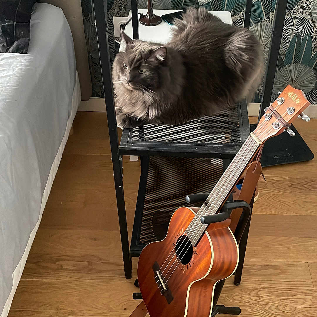 Coco