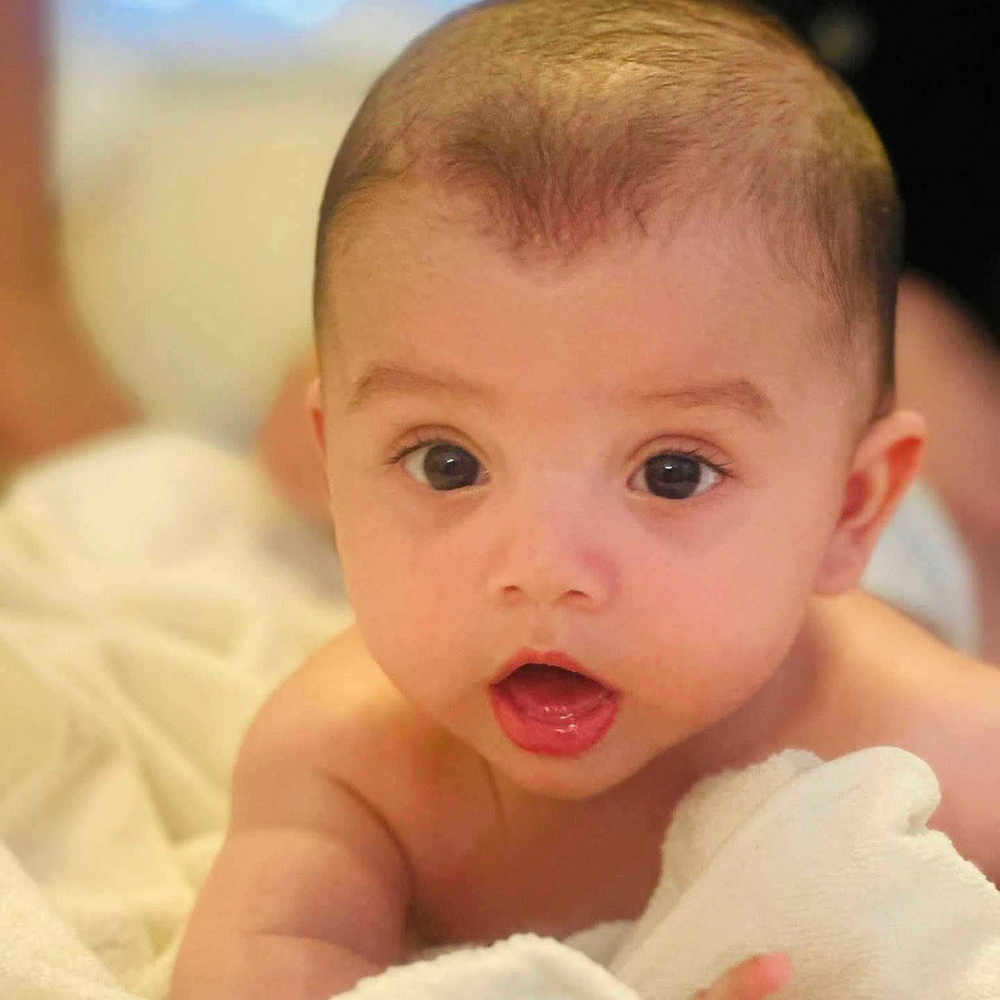 Eden participe au concours pour gagner de l'argent avec cette photo : baby, infant, face, eyes, blanket, skin, expression, curious, mouth, hand, soft, indoors, portrait, child, young, cute, closeup, human, newborn, warm